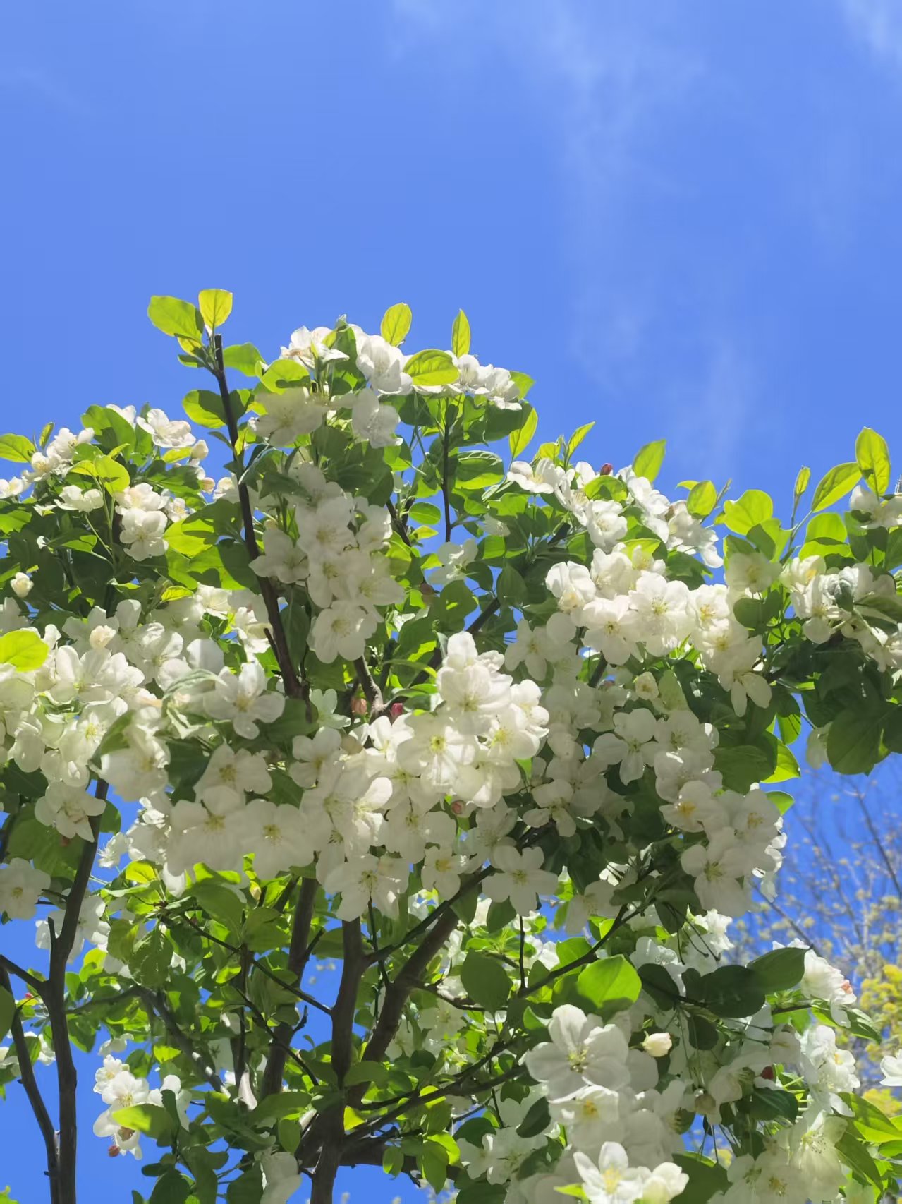 Heyyyy, spring!